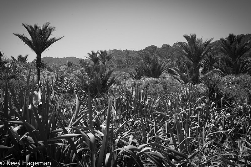 L1001707-66-BorderMaker.jpg